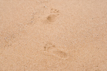 Two human footprints imprinted on golden sand at a beach, symbolizing a journey or exploration theme in a natural setting