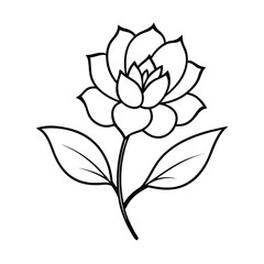 botanical line art of blooming flowers on white background 