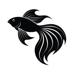 Fototapeta premium single fish silhouette 