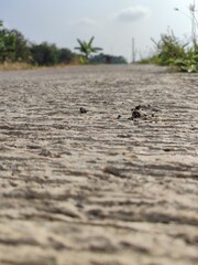 Surface texture of a concrete road in the countryside, selective focus