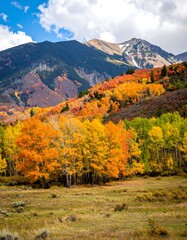 Naklejka premium Autumnal hillside with vibrant foliage, a snow-capped mountain in the background under a partly cloudy sky