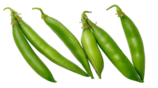 A macro studio photograph capturing the minimalist beauty of three fresh green peas perfectly aligned on a solid complementary green background emphasizing simplicity and natural form.