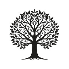 Obraz premium Intricate black silhouette of a mature tree with spreading branches and leaves nature white