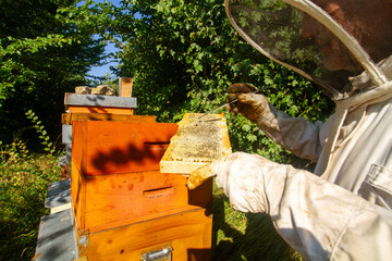 beekeeping honey production from bees in hives in the countryside