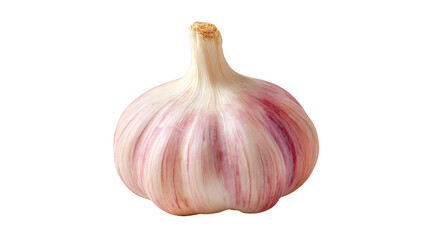 Obraz premium A detailed macro shot of a single fresh white garlic bulb with papery skin resting elegantly on a vibrant solid colored green background creating a minimalist composition.