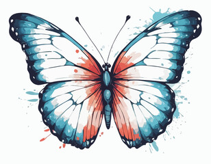 Beautiful Colorful Butterfly with white background vector 