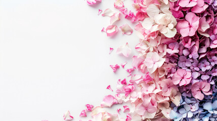 Beautiful pastel flowers arranged elegantly on a clean background, creating a serene and calming atmosphere perfect for creative projects