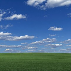 Fototapeta premium Wide expanse of vibrant green grass meets a vast, cloud-filled blue sky