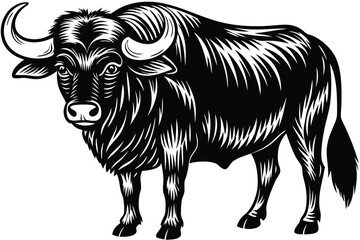 Standing strong, the silhouette of a massive wildebeest showcases nature's rugged beauty