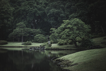 雨の日の六義園　東京都文京区
