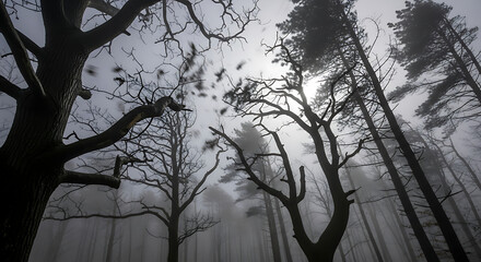 Low angle view of trees in a forest shrouded in mist creating an eerie and mysterious atmosphere ai generated