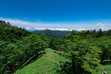 Naklejka premium 大台ヶ原