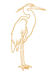illustration of a heron