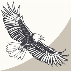 Obraz premium American Bald Eagle in Flight Illustration in Monochrome and Neutral Background