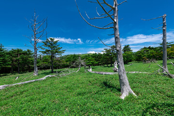 大台ヶ原正木ヶ原