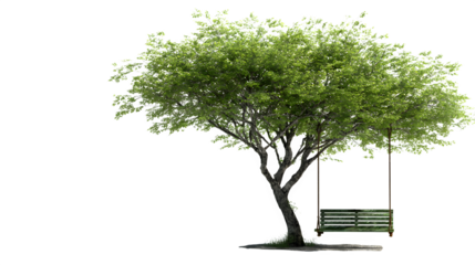 Tree with swing bench isolated on white background