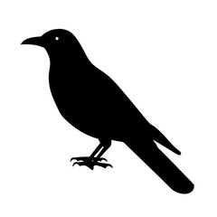 Black crow silhouette vector illustration, bird raven graphic design element for print and web use