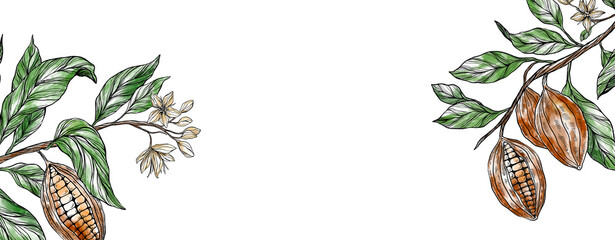 Watercolor botanical banner illustration of cocoa pods and leaves, perfect for chocolate branding, cafe menu, packaging, or decorative food and drink designs. Copy space, floral frame.