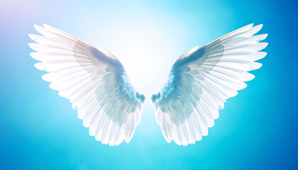 Obraz premium Celestial Wings: Delicate wings of a bird extend majestically, bathed in a celestial glow against a tranquil sky, evoking a sense of freedom, peace, and spiritual ascension.