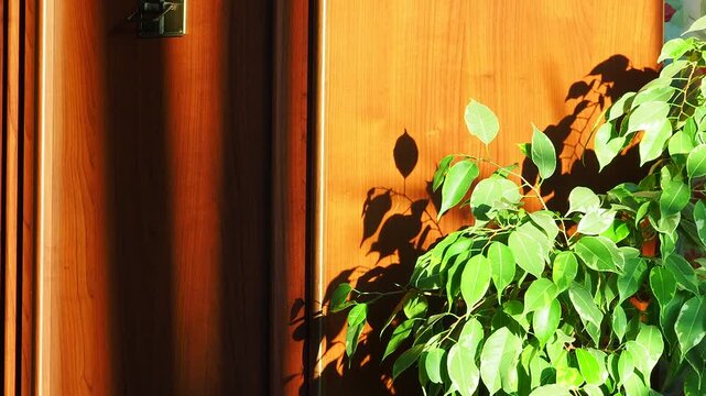Dark wooden cabinet door in the room interior
