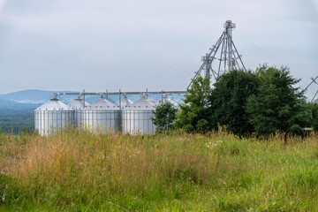 Fototapeta premium Many storages silos on a Quebec farm