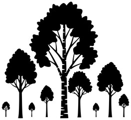 Fototapeta premium Birch tree standing alone on a hill and surrounded by fallen leaves in nature