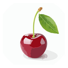 Sweet cherry illustration vector with green leaf isolated on white background summer fruit art design and natural food icon