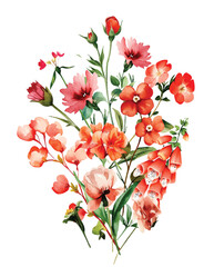 Bouquet Wild Field flowers Watercolor pink illustration Botanical collection of garden plants. Set different wild flowers, branches, herbs and leaves for bouquets and natural elements for cards