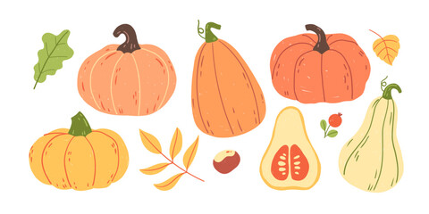 Hand-drawn vector autumn pumpkins and gourds, children's crayons and pencils. Set of cute pumpkins for Halloween, Thanksgiving, and harvest