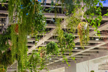Lush green hanging plants in modern indoor space with bright lighting and contemporary design