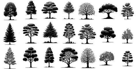 collection of trees, set of trees silhouettes