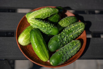 Fresh cucumbers arranged neatly on a rustic plate in natural sunlight on a wooden surface