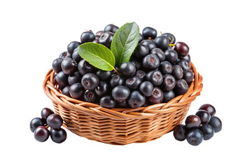 Basket full of aronia berries or black chokeberries with fresh green leaves