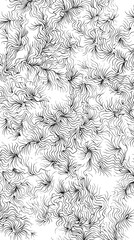 Abstract black and white geometric patterns