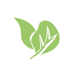 natural green leaf vector