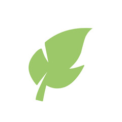natural green leaf vector