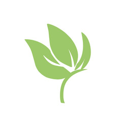 natural green leaf vector