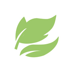 natural green leaf vector