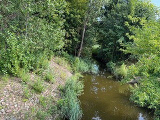 river in the forest
