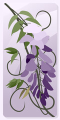 Frame with delicate lusters of lilac flowers of a climbing plant for wall framed prints