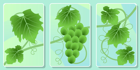 Frames with with a branch of grapes with leaves and berries for wall framed prints, canvas prints, poster