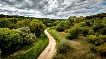 Obraz premium Scenic Countryside Road Through Lush Green Forest Under a Dramatic Sky, Perfect for Nature Backgrounds