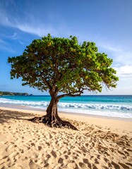 Solitary tree on a pristine beach, waves lapping the shore under a vibrant sky