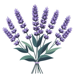 Naklejka premium Elegant Lavender Bouquet, a symbol of serenity and grace. isolated on transparent background Generative AI.