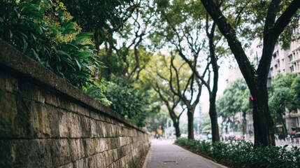 Obraz premium Urban Walkway with Lush Greenery and Mature Trees Provides a Peaceful Escape in the City