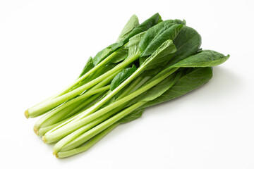 小松菜　白バック