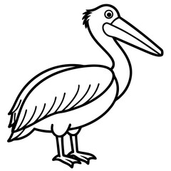 Pelican line art vector