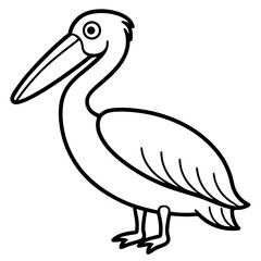 Pelican line art vector
