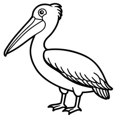 Pelican line art vector