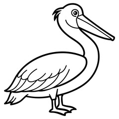 Pelican line art vector